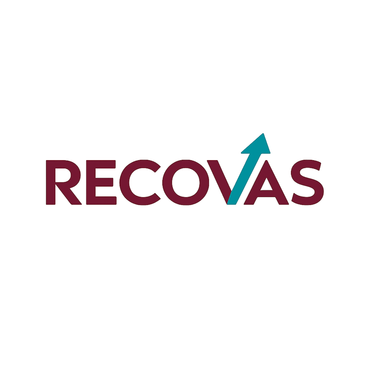 Marketing, Auditing, Recovery Services